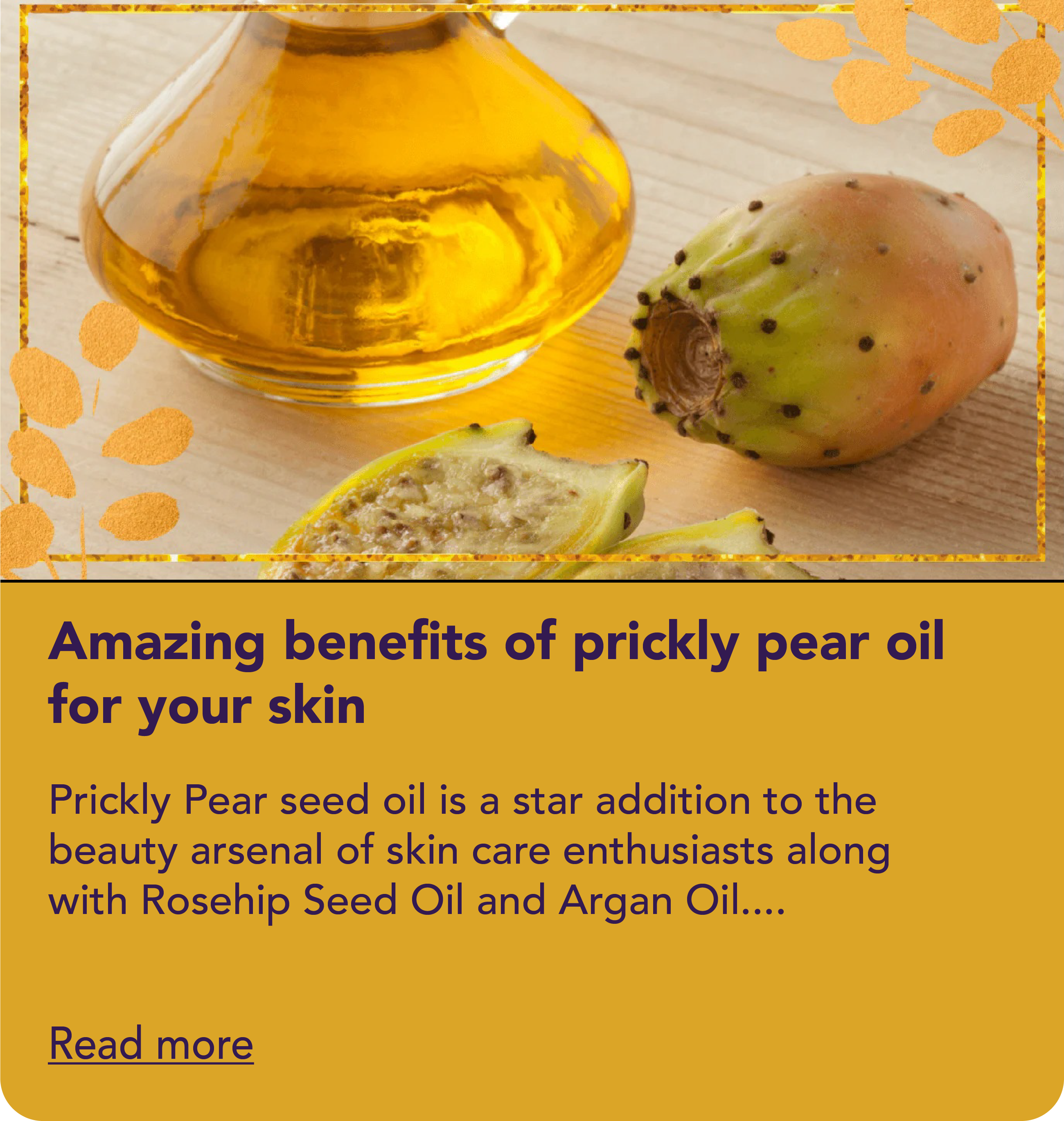 Amazing benefits of prickly pear oil for your skin