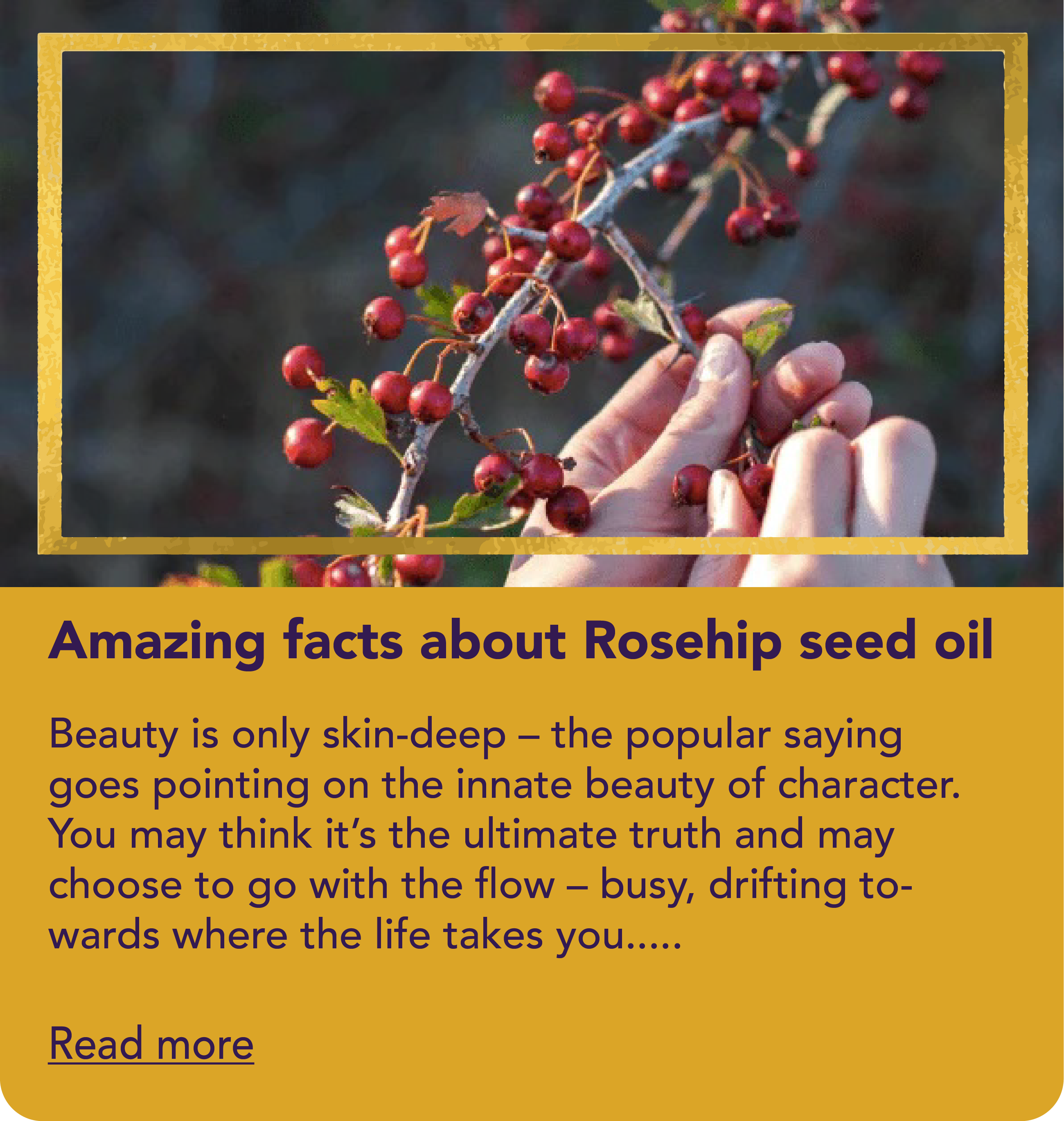 Amazing facts about Rosehip seed oil