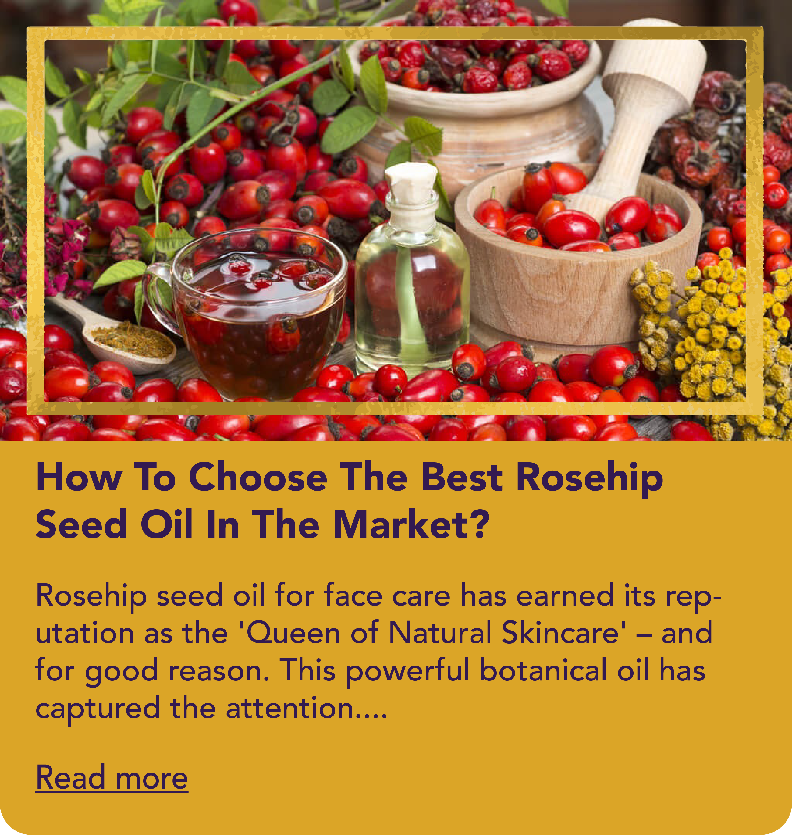 How To Choose The Best Rosehip Seed Oil In The Market