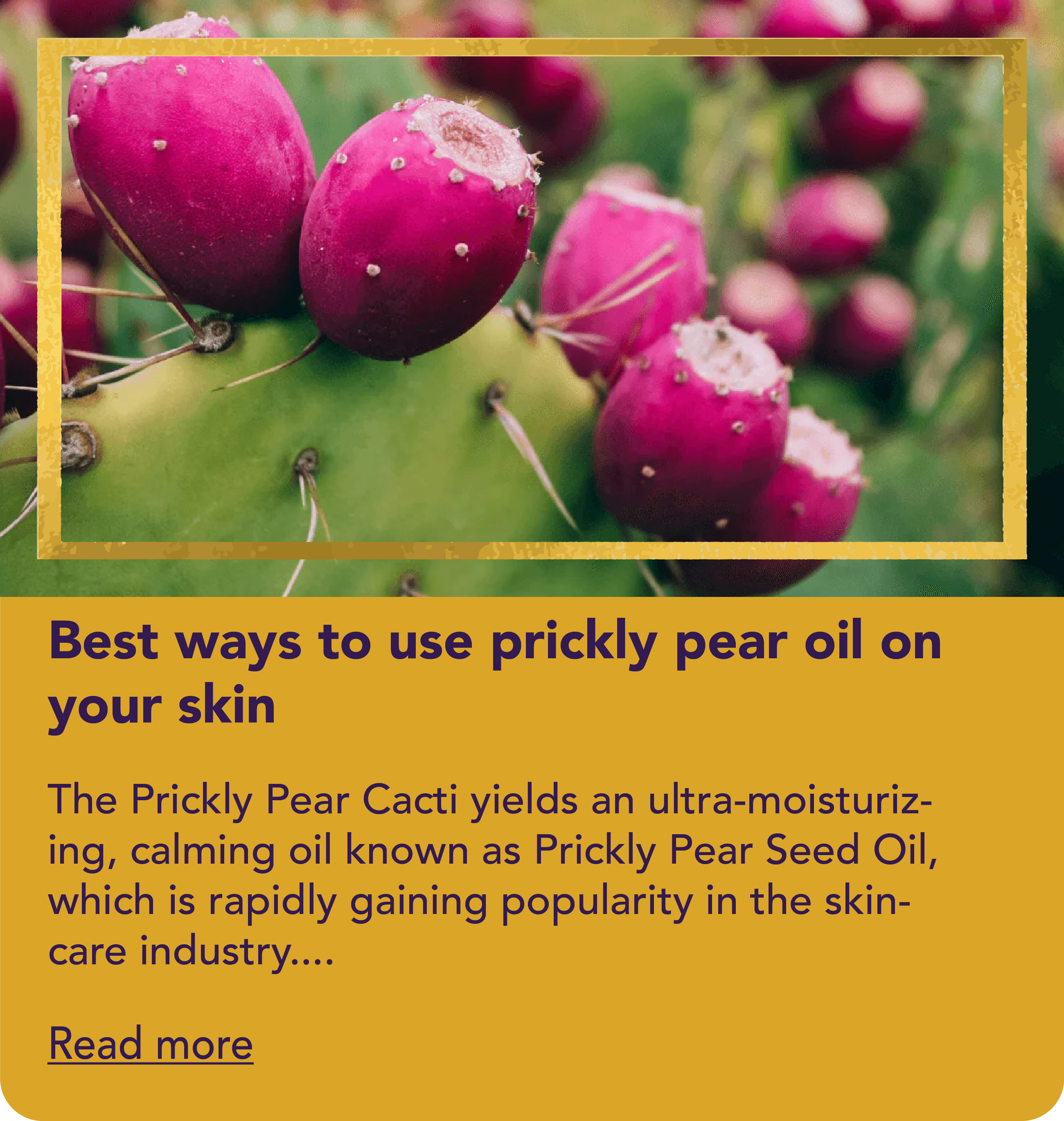 Best ways to use prickly pear oil on your skin